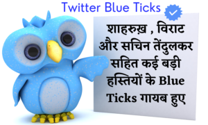 Twitter Blue Ticks