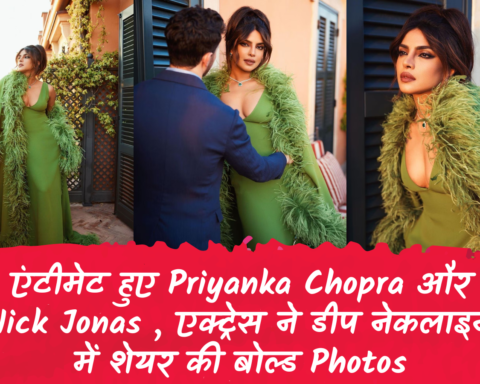 एंटीमेट हुए Priyanka Chopra और Nick Jonas , एक्ट्रेस ने डीप नेकलाइन में शेयर की बोल्ड Photos
