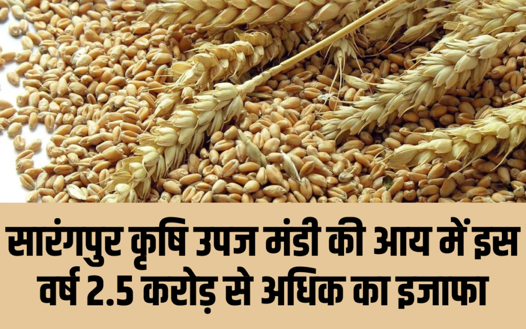सारंगपुर कृषि उपज मंडी की आय में इस वर्ष 2.5 करोड़ से अधिक का इजाफा