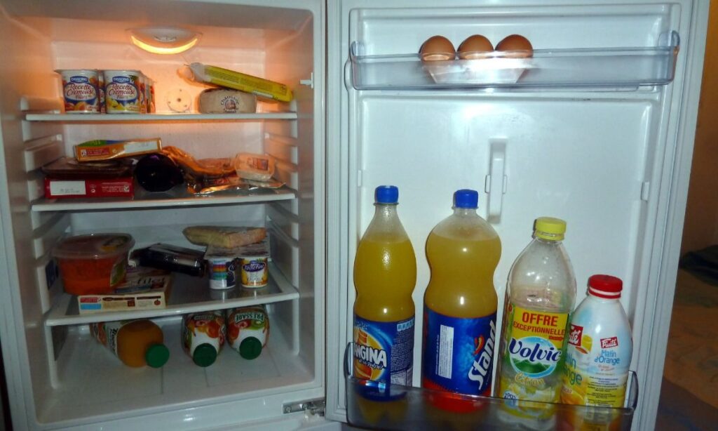फ्रिज में रखा खाना खाने से पड़ सकते हैं बीमार, सेहत को हो सकते हैं ये बड़े नुकसान 