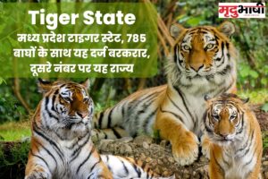 tiger state of india