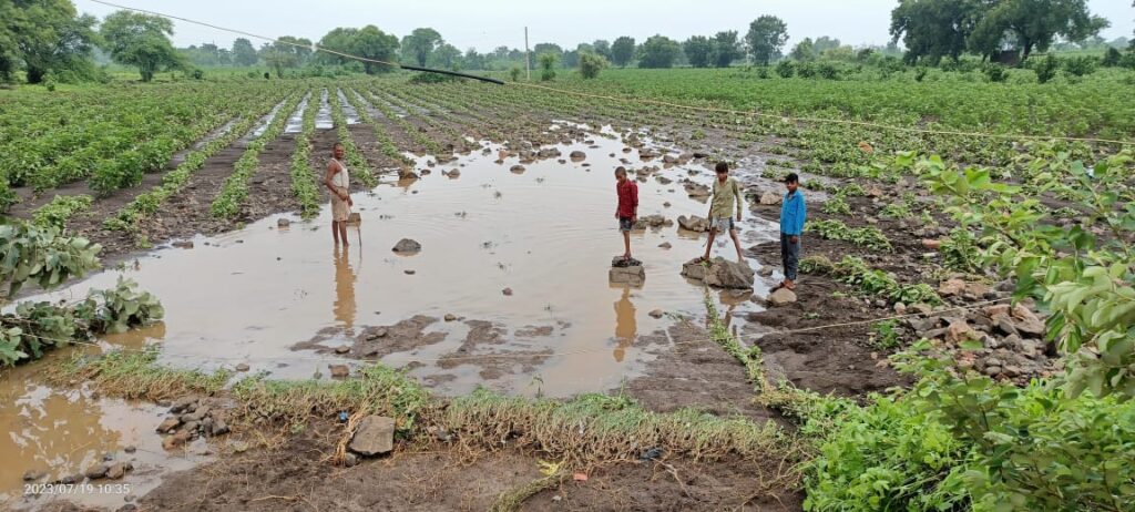मूसलाधार वर्षा से फसलों का हुआ नुकसान, किसानों को हुई परेशानी