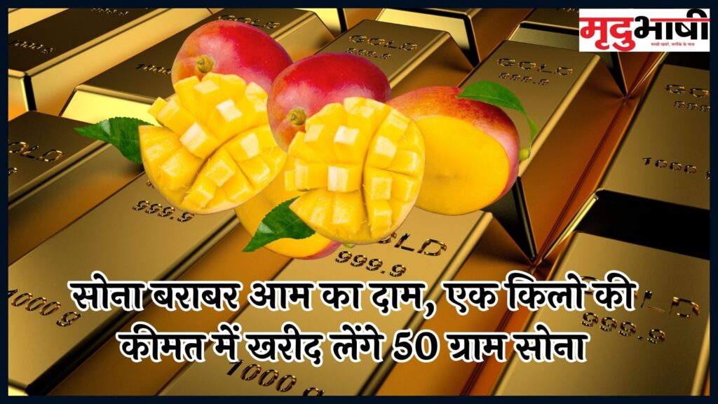 सोना बराबर आम का दाम, एक किलो की कीमत में खरीद लेंगे 50 ग्राम सोना