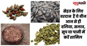 Healthy seeds सेहत के लिए वरदात हैं ये बीज, आज से ही दलिया, सलाद, सूप या पानी में करें शामिल (1)