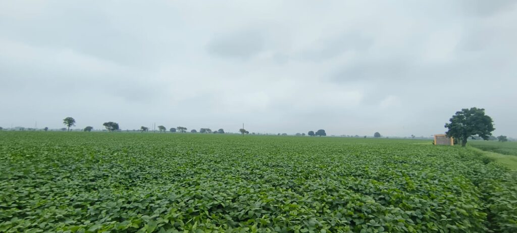 Dhar News: बारिश की आस में किसान, अब तो बरसो बदरा