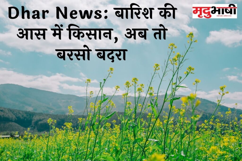 Dhar News: बारिश की आस में किसान, अब तो बरसो बदरा
