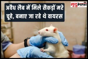 अवैध लैब में मिले सैकड़ों मरे चूहे, बनाए जा रहे थे वायरस