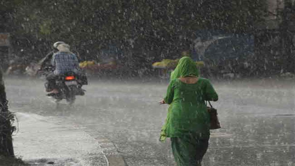 सबसे अधिक नरसिंहपुर में बारिश