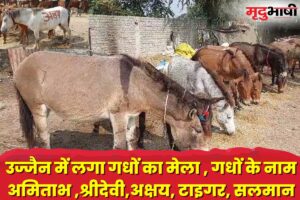 Ujjain News